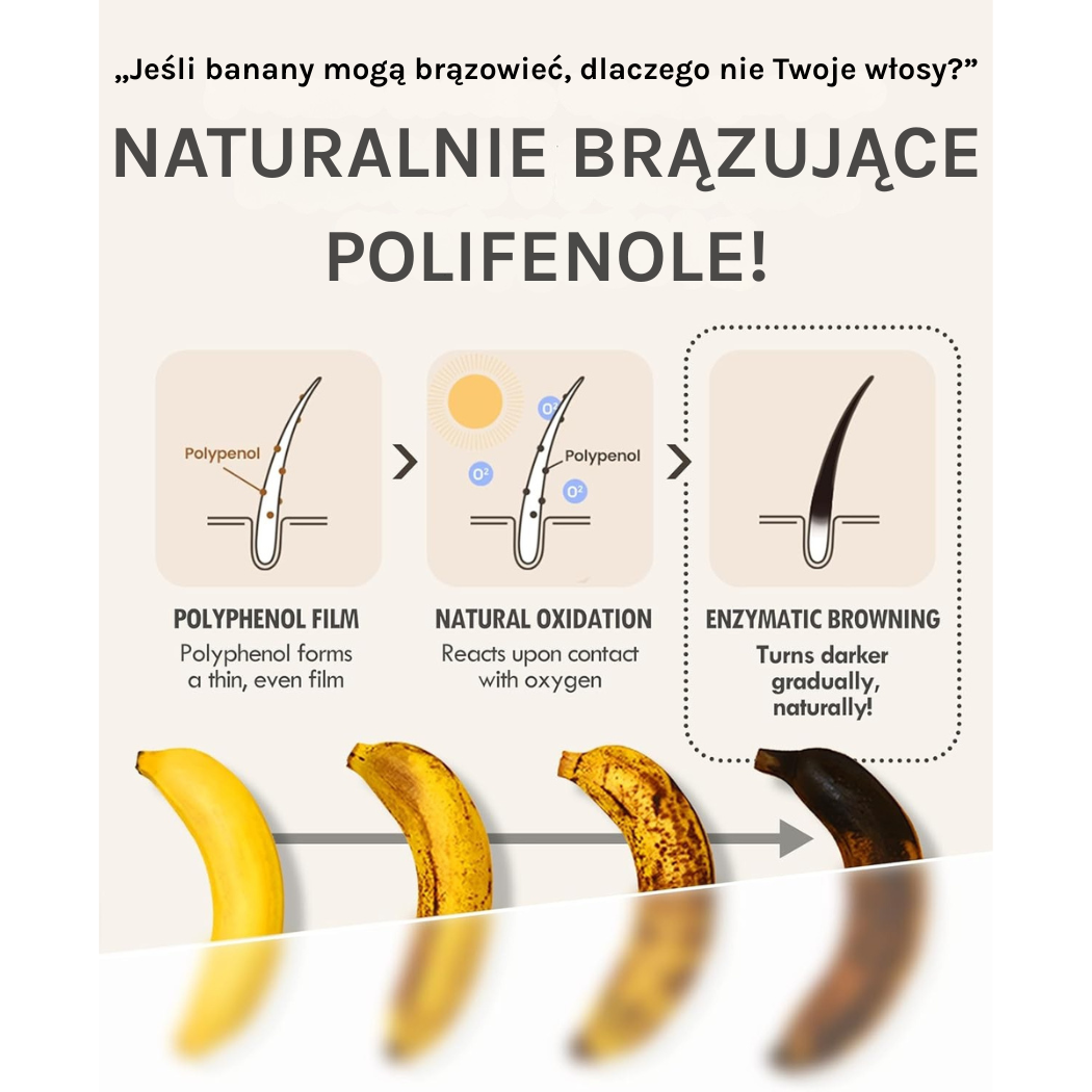 Modamoda Black Shampoo 10 Zero Grey (3) Infografika pokazująca działanie polifenoli: tworzą cienką warstwę na włosach, reagują z tlenem i prowadzą do naturalnego, enzymatycznego brązowienia włosów. Na dole porównanie procesu brązowienia banana jako metafora stopniowego przyciemniania włosów. Napis: „Jeśli banany mogą brązowieć, dlaczego nie Twoje włosy? Naturalnie brązujące polifenole”.