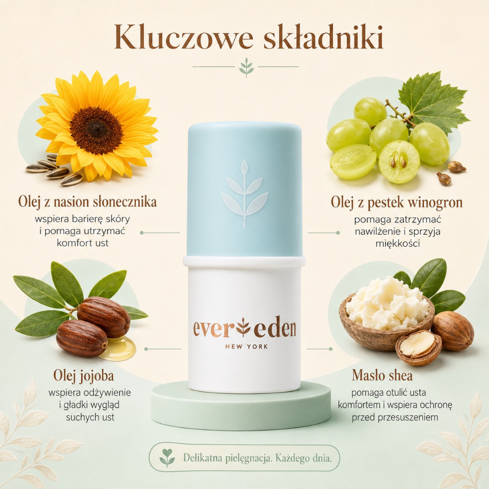 Evereden Baby Lip Balm Grafika przedstawiająca kluczowe składniki balsamu Evereden, w tym olej słonecznikowy, olej z pestek winogron, olej jojoba i masło shea.