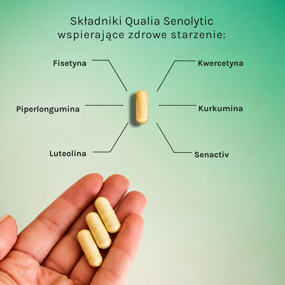 Qualia Senolytic Qualia Senolytic - 2 dni dla komórkowego resetu