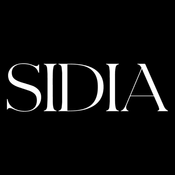 Obraz przedstawia białe litery "SIDIA" na czarnym tle, tworzące elegancki i prosty logotyp marki.